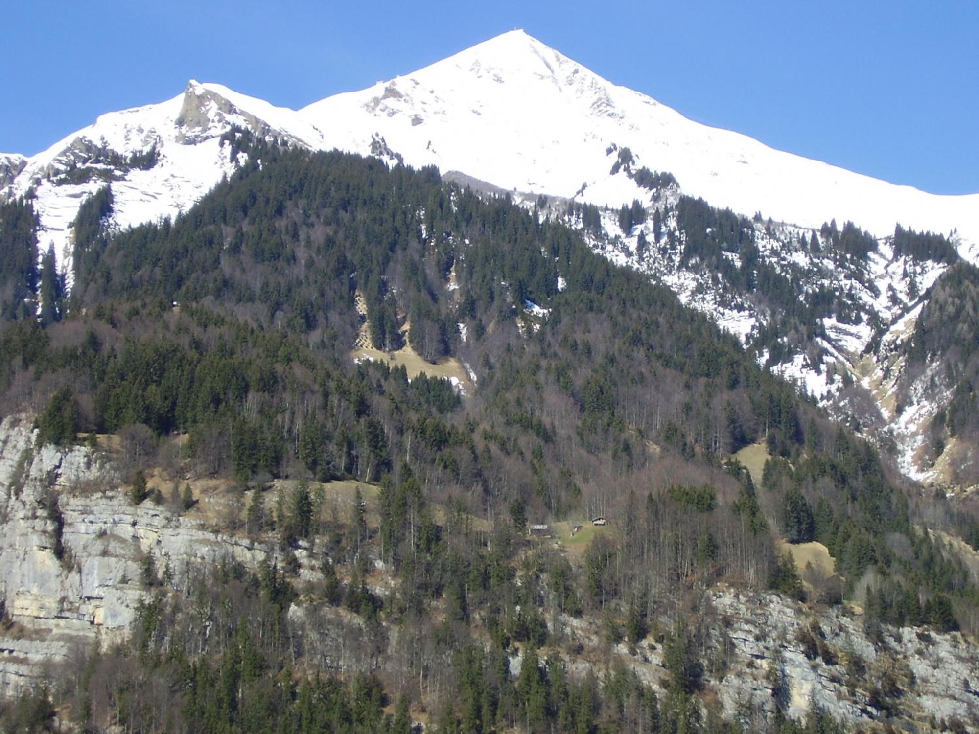 Seeli Hofstetten bei Brienz Exteriör bild