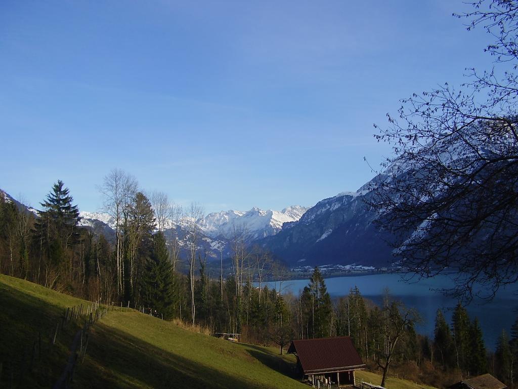Seeli Hofstetten bei Brienz Rum bild