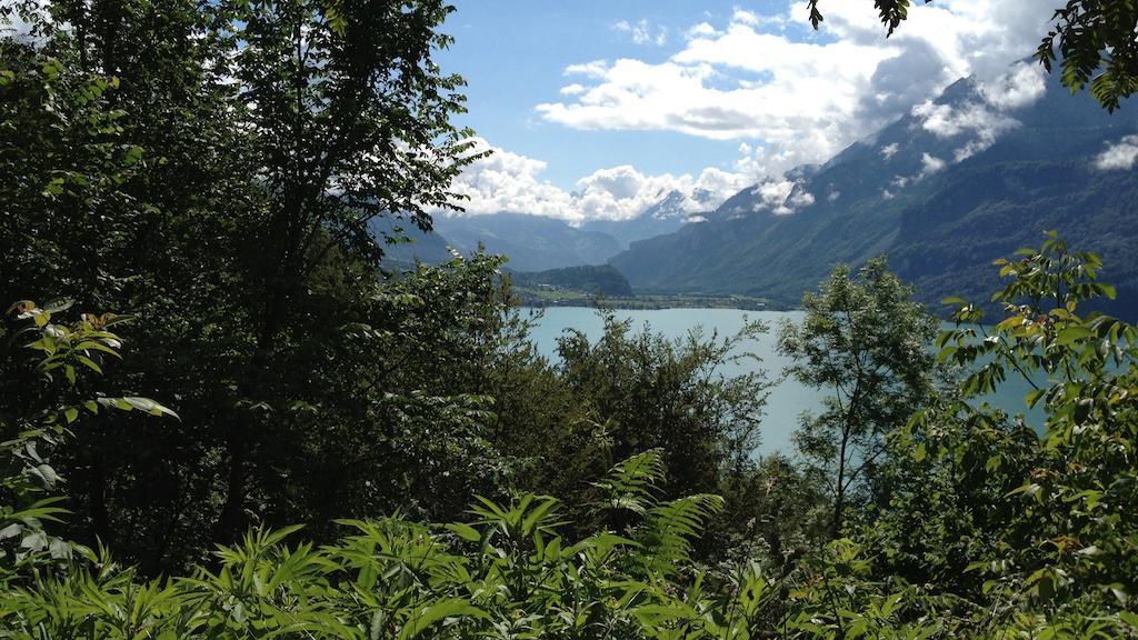 Seeli Hofstetten bei Brienz Rum bild